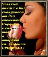vivebg
