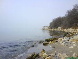 iv_10