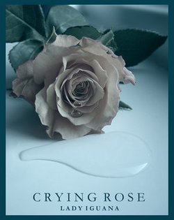 cRyInG_rOsE