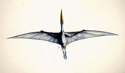 Quetzalcoaltus