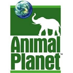 AnimalPlanet