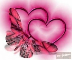 didi_969