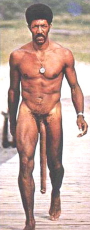 venelindobrev