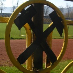 YELLOW-FEVER