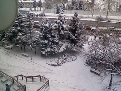 plamen_713