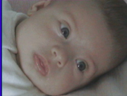 nurcan