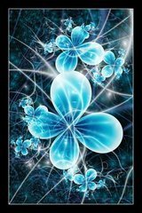 bela_h2o6