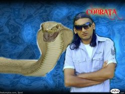 cobraking