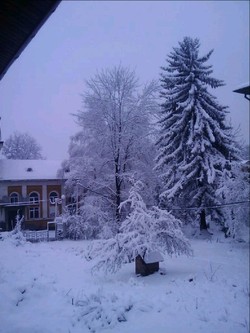 lobodov