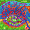 The Psychedelic World Of The 13th Floor Elevators CD2