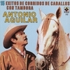 15 Corridos De Caballos - Antonio Aguilar 15 Corridos De Caballos - Antonio Aguilar