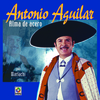 Alma De Acero Alma De Acero