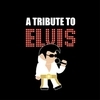A Tribute To Elvis Presley