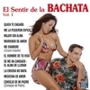 El Sentir De La Bachata Vol.1