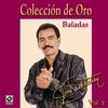 Coleccion De Oro Vol. 2 - Joan Sebastian Coleccion De Oro Vol. 2 - Joan Sebastian