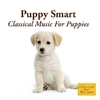 Puppy Smart - Classical Music For Puppies