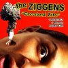 Greatest Zits 1990-2003 + Bonus Surf CD