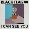 I Can See You I Can See You