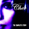 Tribute To: Cher
