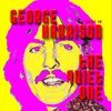 Tribute To: George Harrison Tribute To: George Harrison