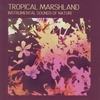 Tropical Marshland
