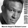 Marvin Gaye's Distant Lover
