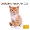 Relaxation Music For Cats