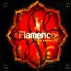 Flamenco New Grooves Flamenco New Grooves