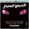 Black Cat Bone - The Anthology