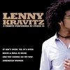 Lenny Kravitz - A Tribute
