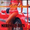 Merengue Hits 2006