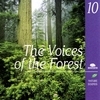 The Voices Of The Forest (Les Voix De La Forêt)