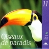 Birds Of Paradise (Oiseaux De Paradis)