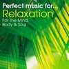 Perfect Music for Relaxation