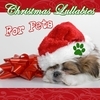 Christmas Lullabies For Pets