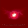 I'll Sleep When You're Dead - Instrumentals I'll Sleep When You're Dead - Instrumentals