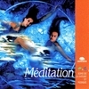 Meditation (Méditation)