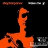 Стефан Панев - Wake Me Up/USB