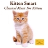 Kitten Smart - Classical Music For Kittens