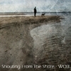 Shouting From The Shore