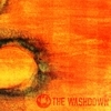 The Washdown