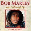 Soul Almighty - Natural Mystic II