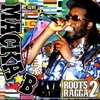 Macka B Live Again!! / Roots Ragga 2