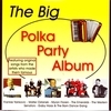 Big Polka Party Album