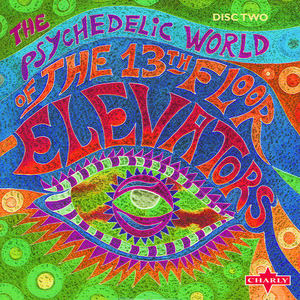 The 13th Floor Elevators