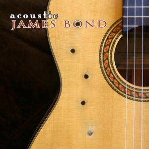 Secret Agents Of Acoustic Guitar