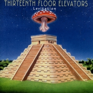 13th Floor Elevators