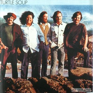 The Turtles