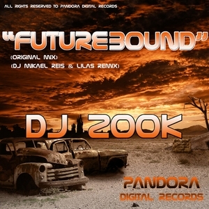 Dj Zook
