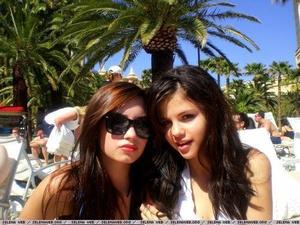 sel i demi 